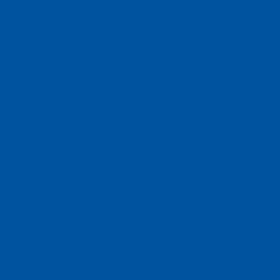 Polairs Velocity Blue - OEM Color Mesh