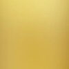 Gold Powder Coat