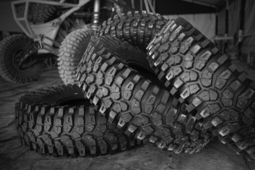 Maxxis Roxxzilla Tires