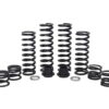 Zbroz Polaris Xpedition Spring Kit, Stage 1