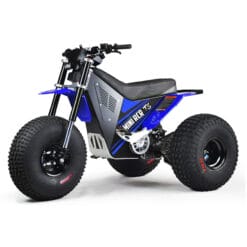 Mini Rcr E-Trike, T3 Electric 3 Wheeler