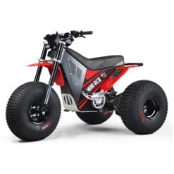 Mini Rcr E-Trike, T3 Electric 3 Wheeler